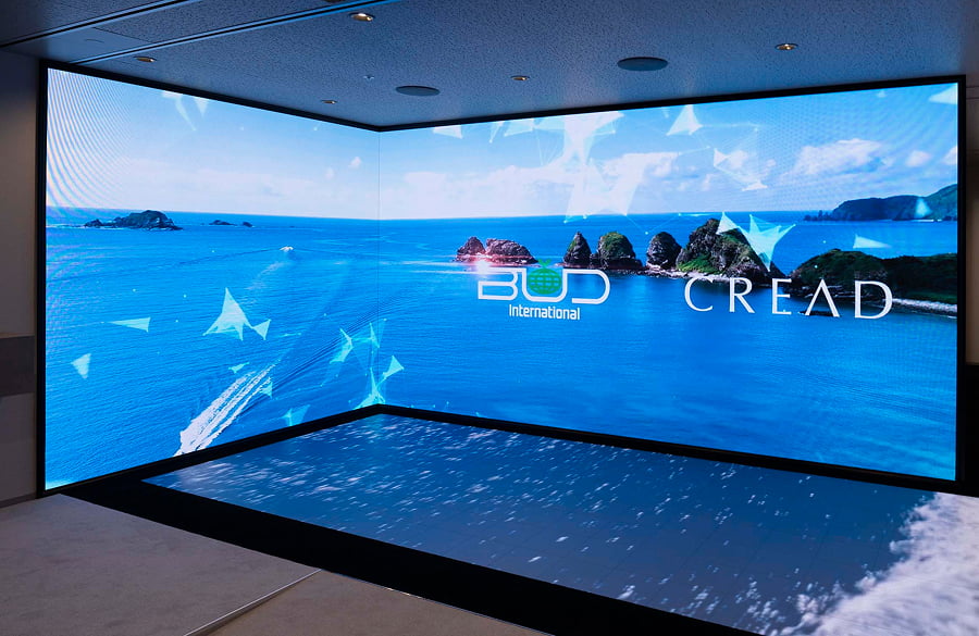 バドインターナショナル